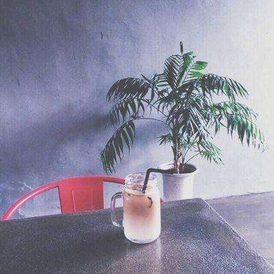 金星棋牌app下载