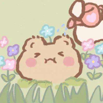 半岛·综合下载手机版