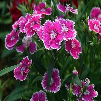 爱游戏全站app手机版