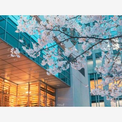 246天天好彩app下载